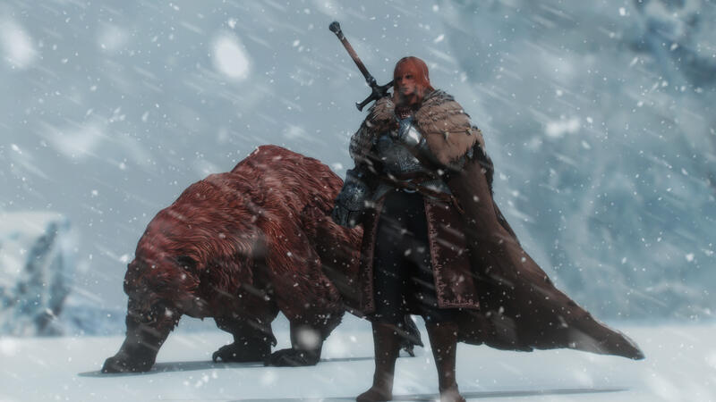 Wanderer's Life